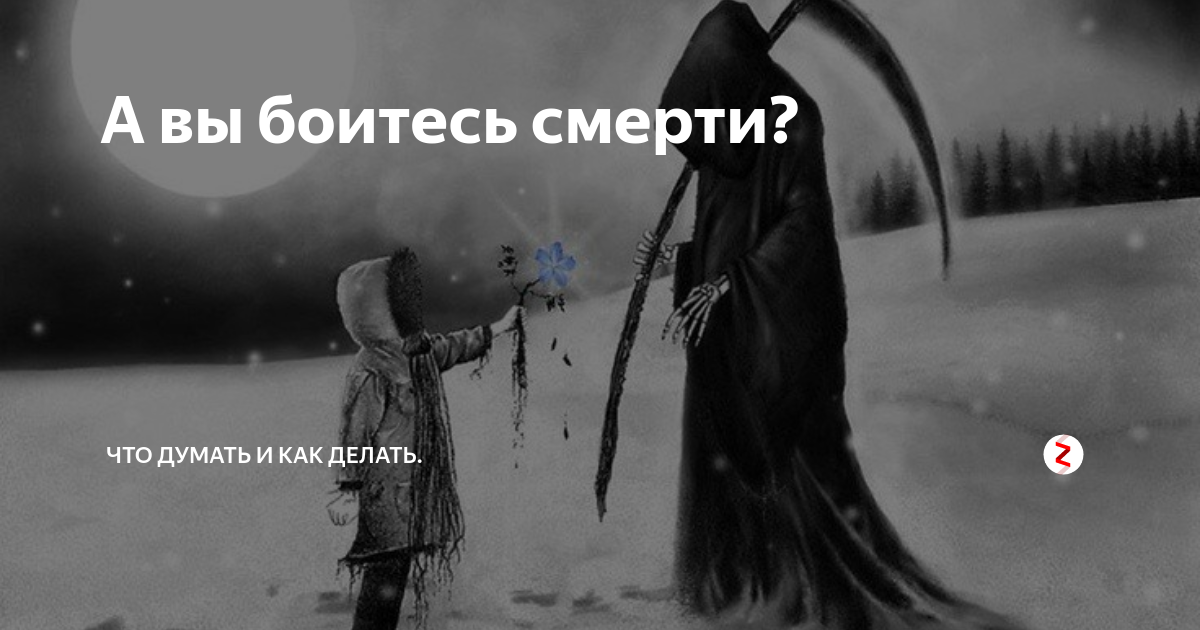 Как жили мы боясь и смерть не. Вы боитесь смерти. Смерти не боюсь. Страх смерти и страх жизни.