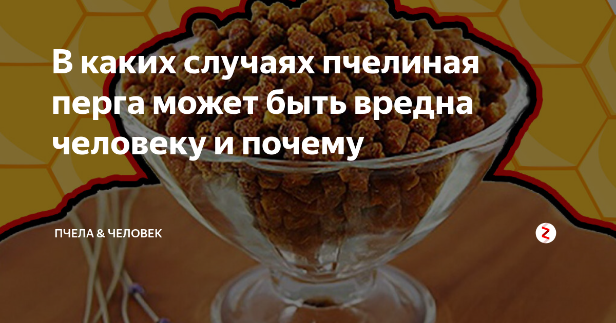 Сколько можно есть перги в день