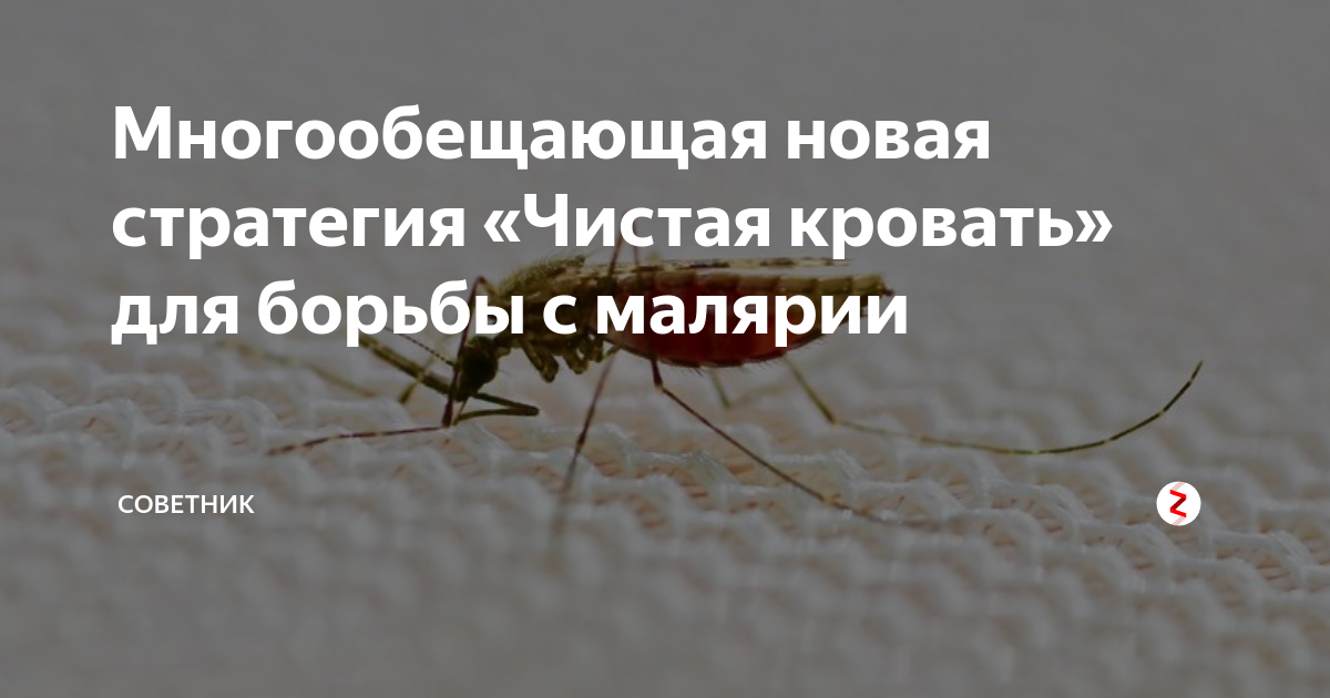 Проблема малярии