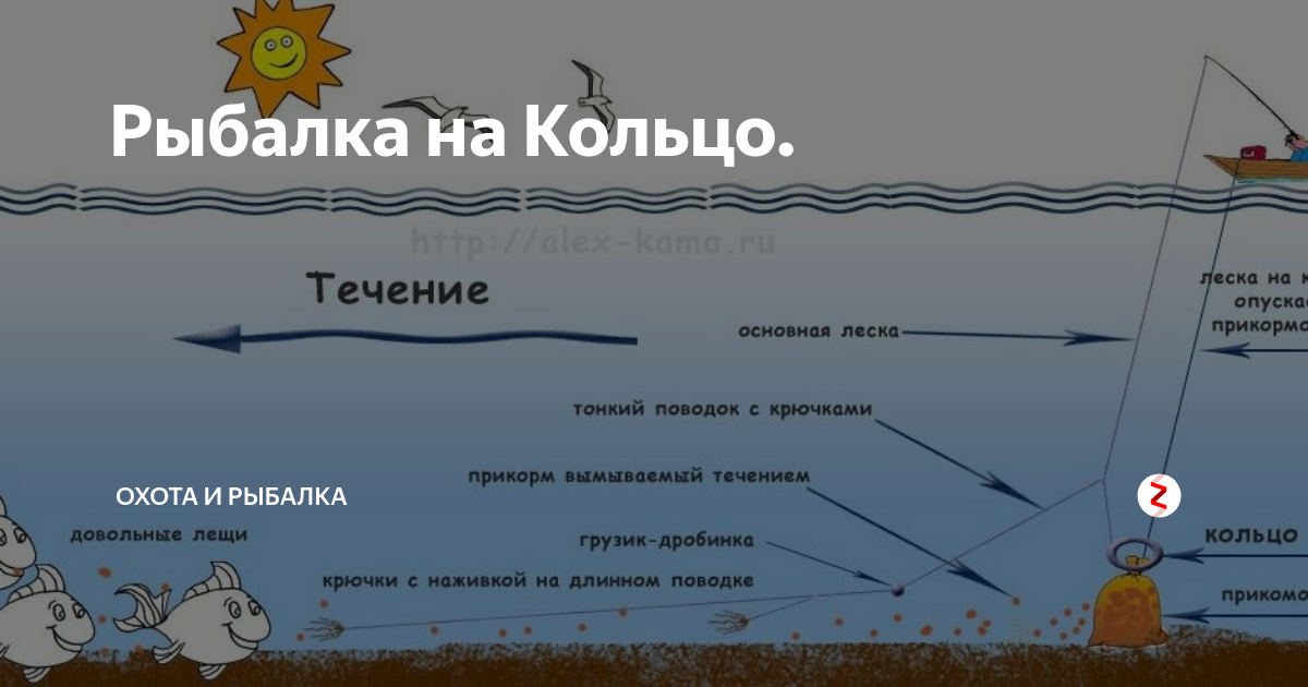 Как выбрать крючки для ловли леща Рыбалка Лучший отдых Дзен