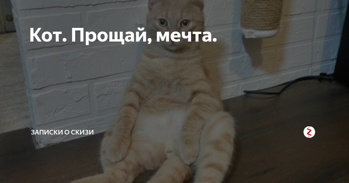 прощай мечта. грустная женщина. прощай мечта. истрашкин белово. любовь ушла.