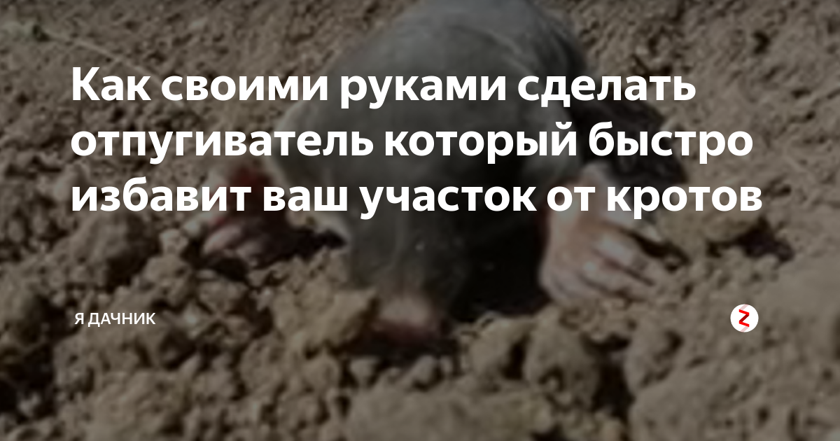 Список популярных отпугивающих устройств от кротов на 