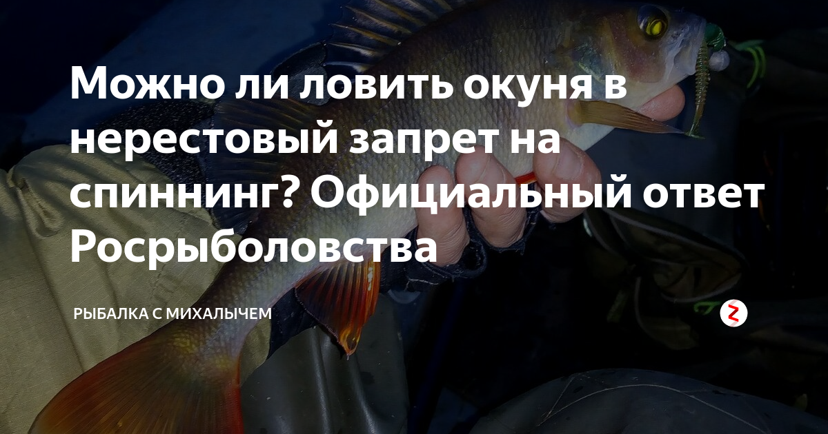 Окончание нерестового запрета