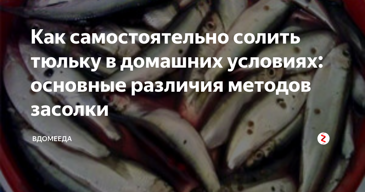 Как засолить кильку в домашних условиях. Рецепт кильки сухого пряного посола