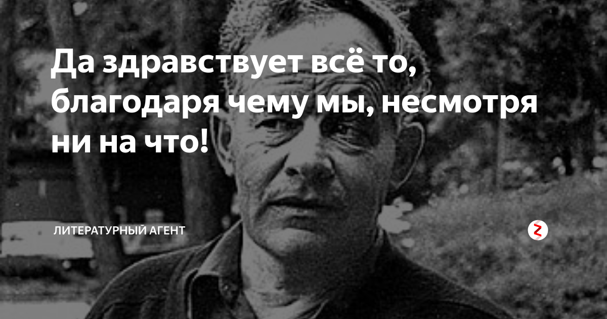 Несмотря на то что здесь. Да здравствует то благодаря чему мы несмотря ни на что картинки. Да здравствует все благодаря чему мы несмотря ни на что. Картинка да здравствует все то, благадаря чему мы, не смотря ни на что. Да здравствует то благодаря чему мы несмотря.