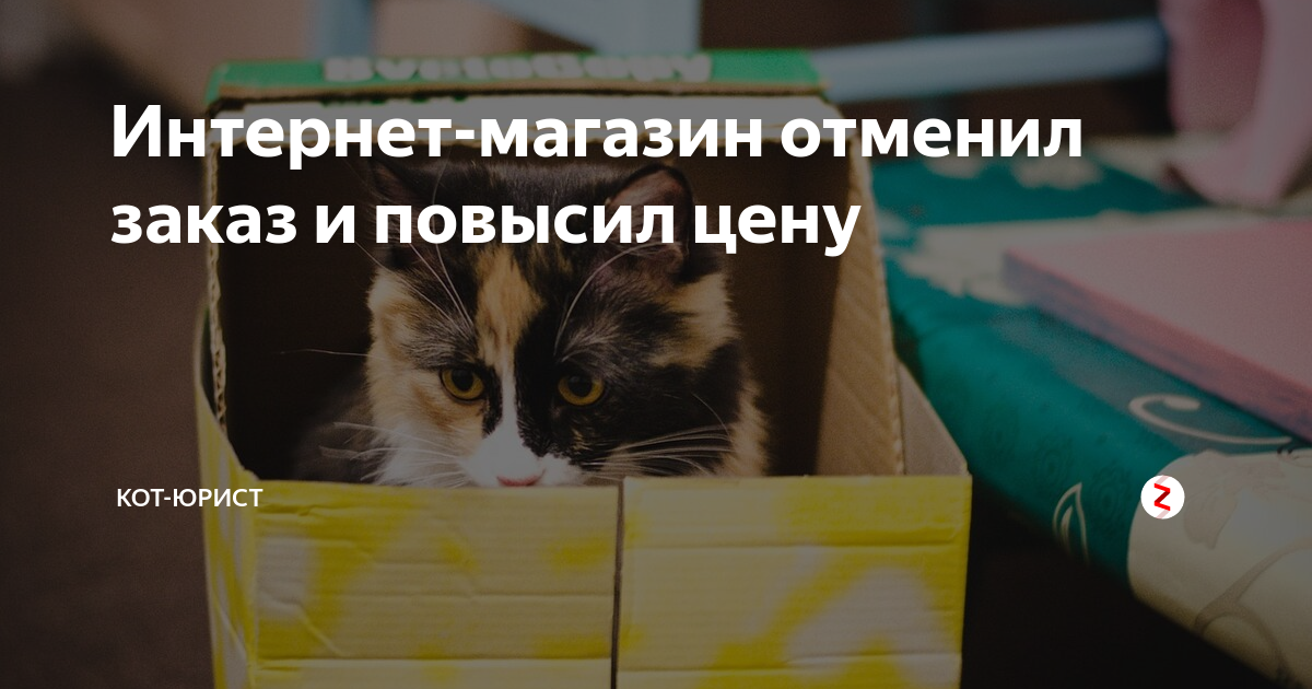 Интернет-магазин отменил заказ и повысил цену | Кот-юрист | Дзен