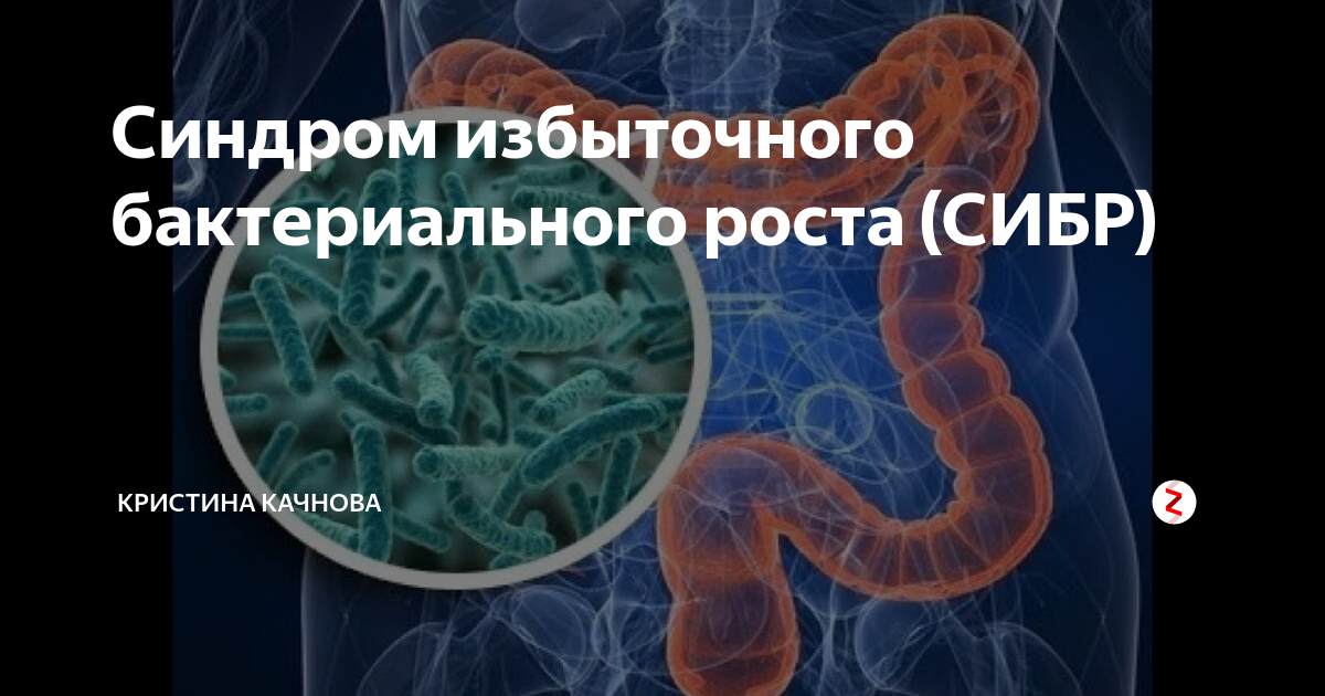 Сибр это. Избыточный рост микрофлоры кишечника. СИБР. Патогенные бактерии в тонком кишечнике. Патогенные микробы в тонкой кишке