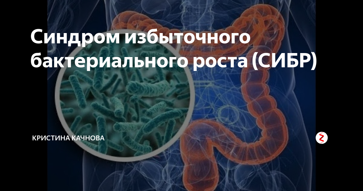 Бактерии в тонком кишечнике. Синдром избыточного бактериального роста. СИБР В кишечнике. Бактерии тонкого кишечника.