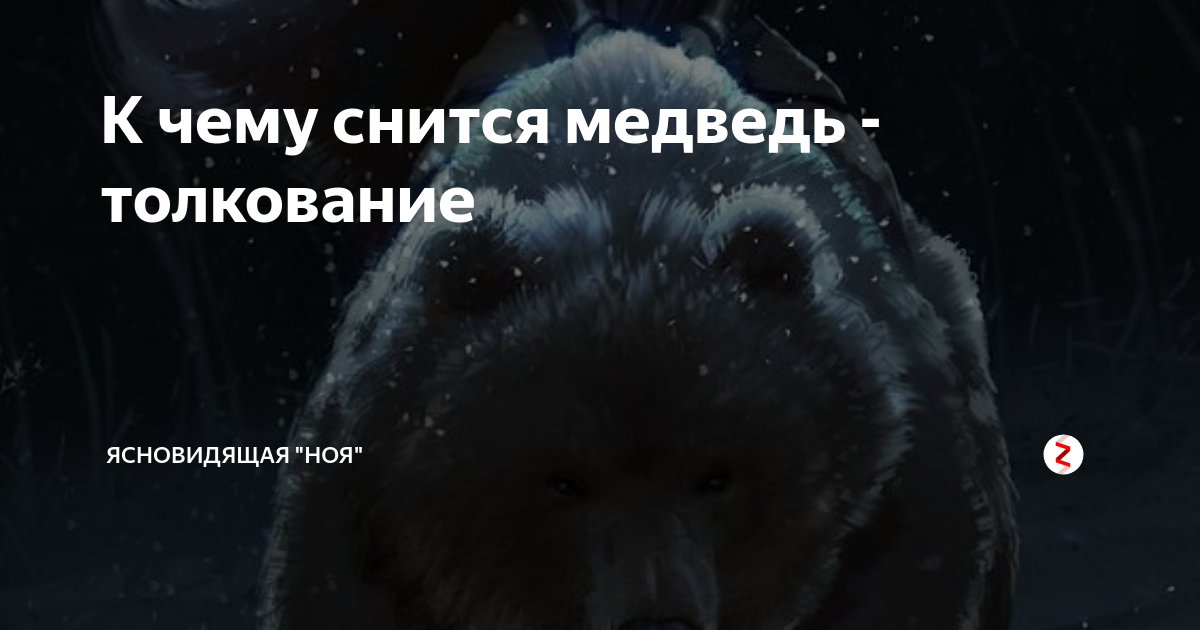 Как важны мелочи в интерпретации ночных видений с диким зверем