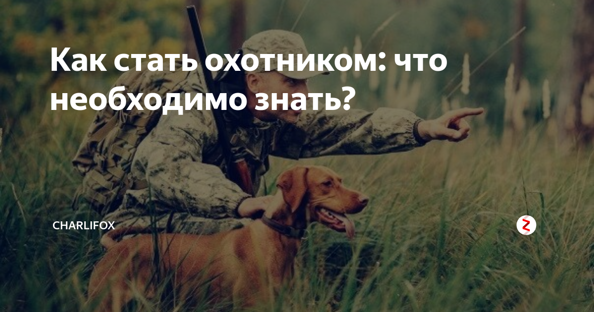 Стать охотником s класса. Человек становится охотником. что надо чтобы стать охотником. памятка как стать охотником. пошаговая инструкция как стать охотником.