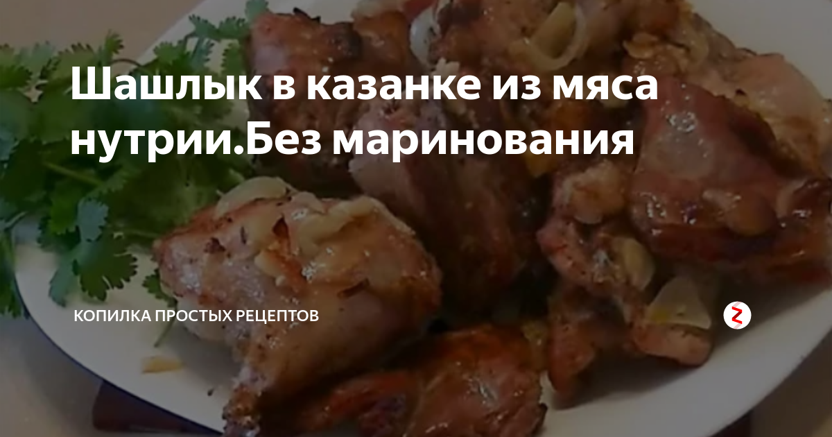 Шашлык из нутрии - Master recipes