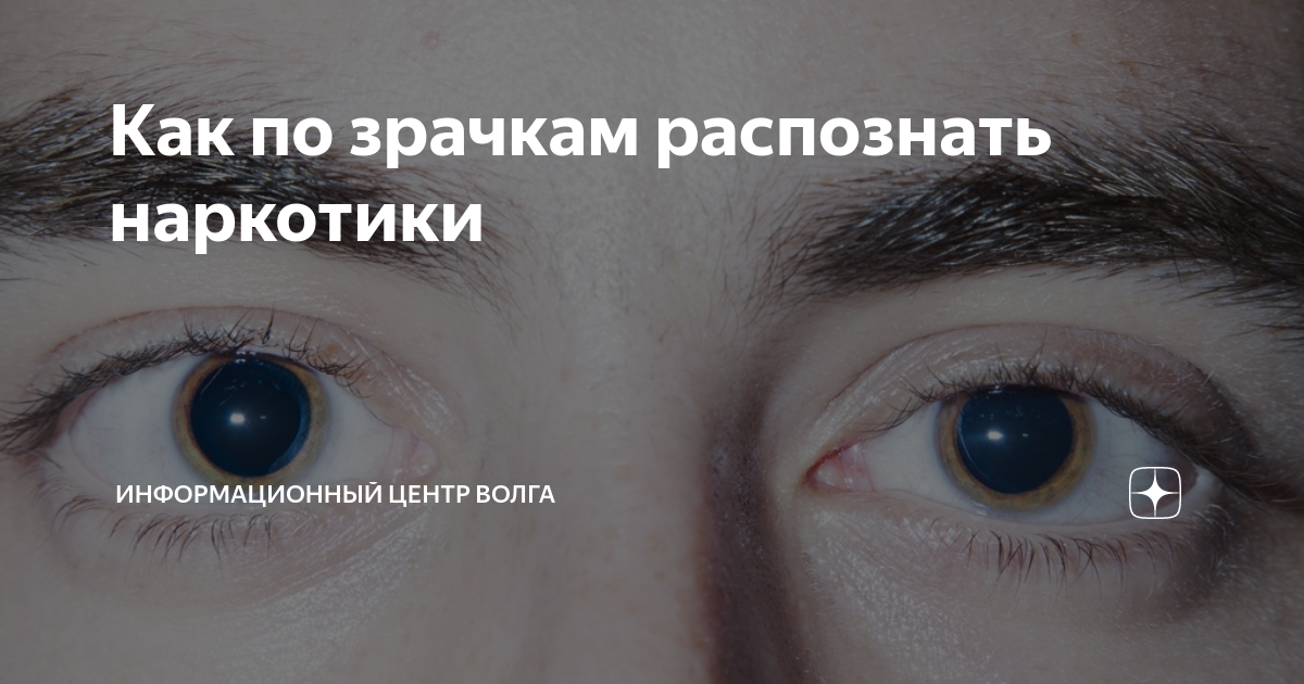 Расширенные зрачки о чем говорят у подростка. Расширенные зрачки о чем говорят у подростка. Расширенные зрачки о чем говорят у подростка. Расширенные зрачки о чем говорят у подростка. Расширенные зрачки о чем говорят у подростка.