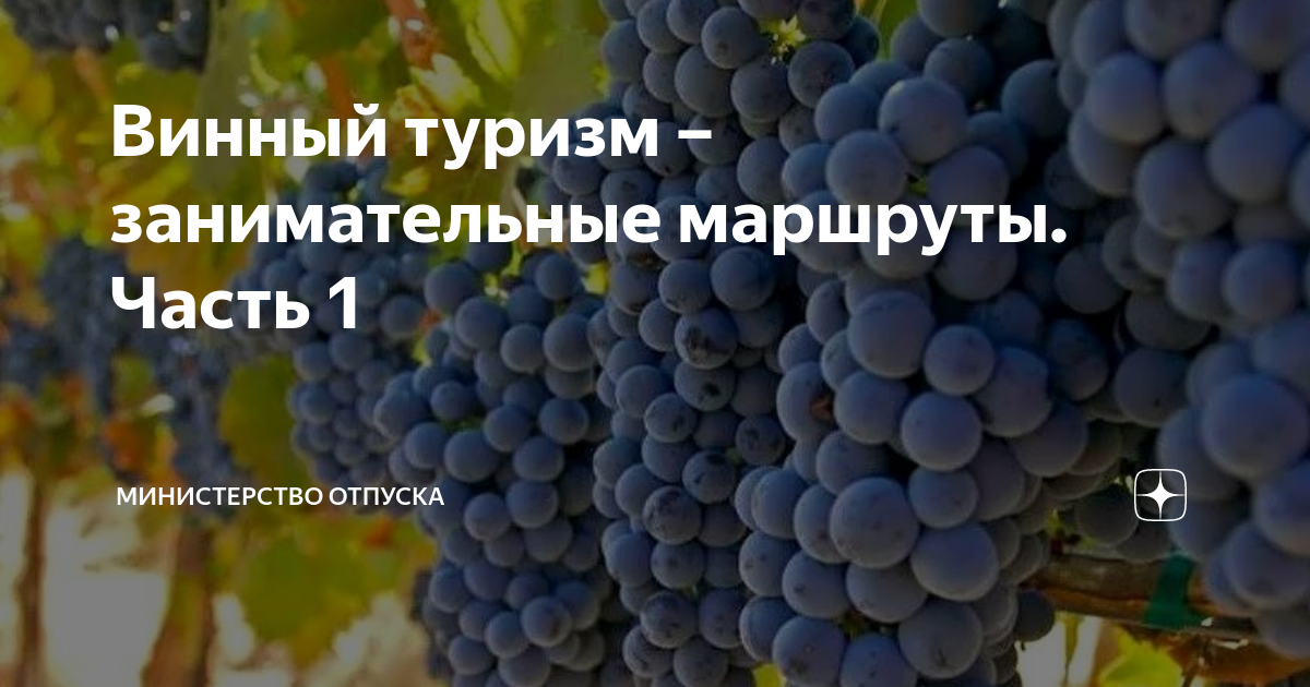 Винный туризм – занимательные маршруты. Часть 1 | МИНИСТЕРСТВО ОТПУСКА ...