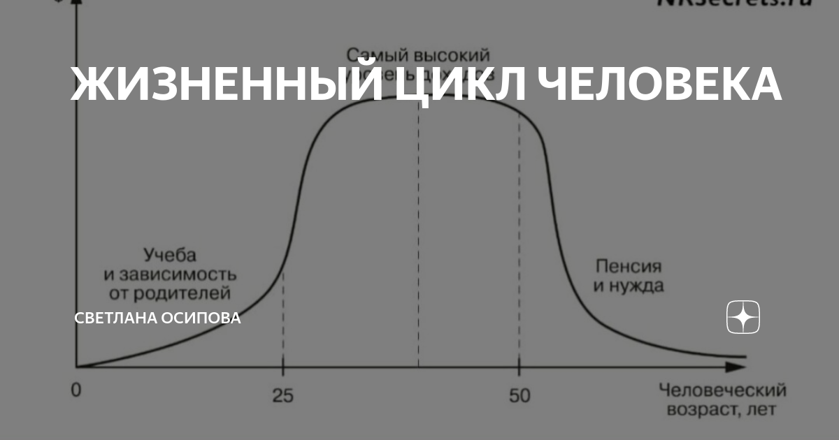 Циклы человека