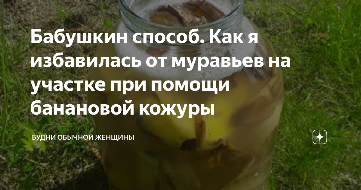 Как бороться с муравьями борной кислотой. Борная кислота с банановой кожурой от муравьев. Удобрение из банановых корок. Банановая кожура от муравьев.