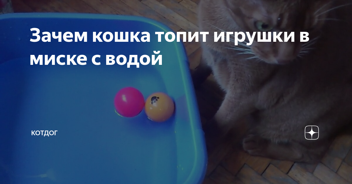 Вики шоу режем игрушки. Топят игрушки топят игрушки. Топят игрушки топят игрушки. Топят игрушки топят игрушки. Топят игрушки топят игрушки.