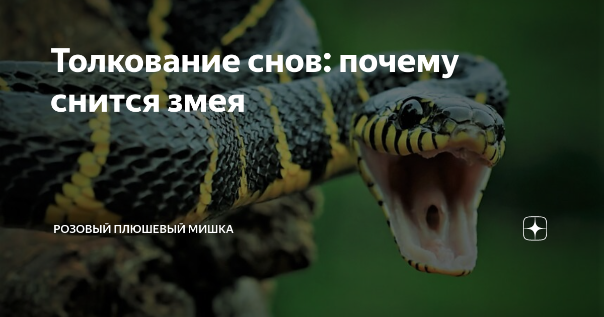 К чему снятся 😴 Дети во сне — по 90 сонникам! Если видишь во сне Дети что значит?