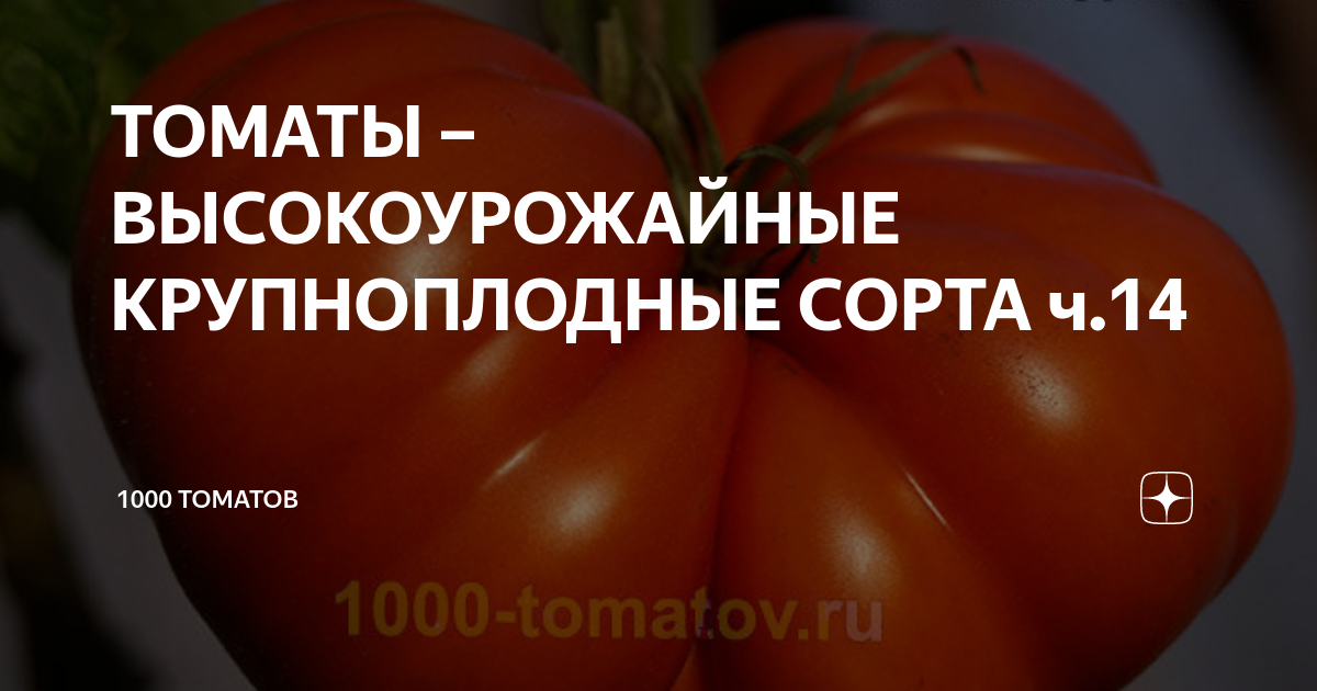 ТОМАТЫ – ВЫСОКОУРОЖАЙНЫЕ КРУПНОПЛОДНЫЕ СОРТА ч.14 | 1000 томатов | Дзен