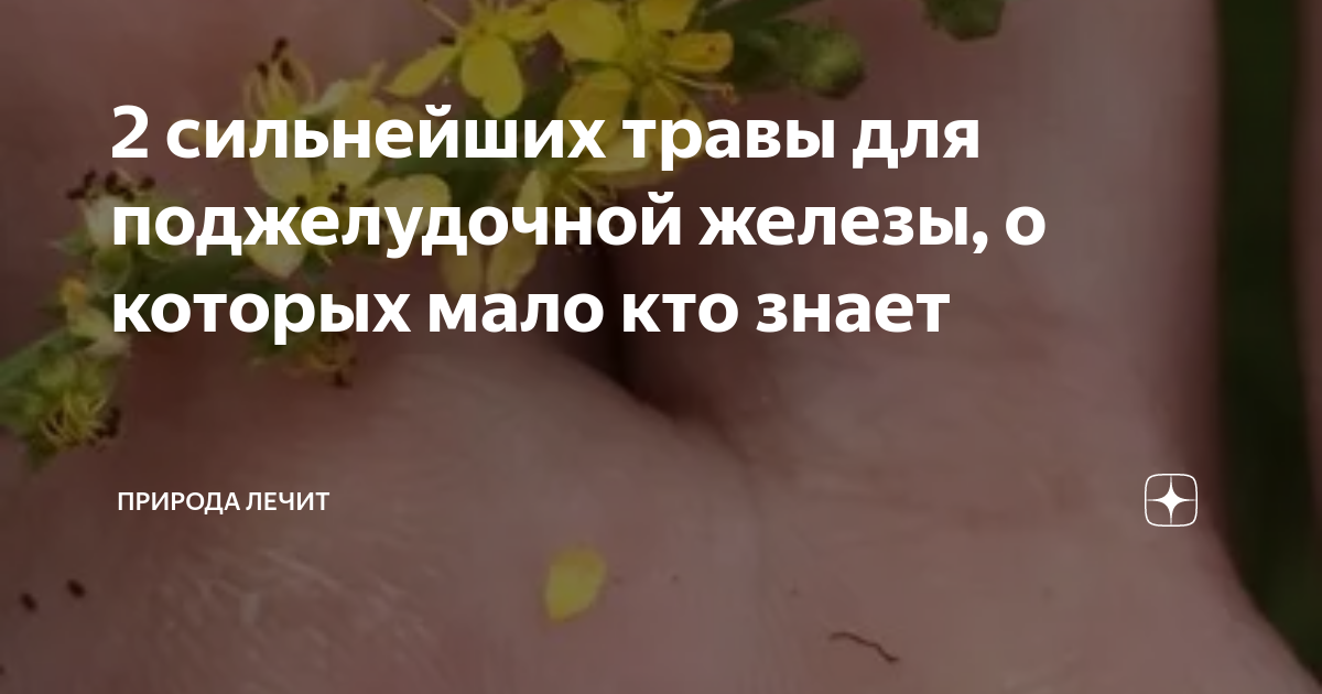 Продукты при панкреатите поджелудочной железы: что можно и нельзя есть