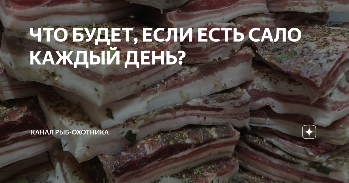 Сало оно и есть сало. Можно ли есть сало каждый день. В Свином Сале есть вены.