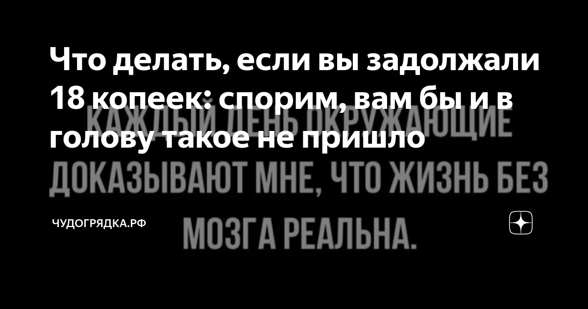 Что делать если вы задолжали 18 копеек спорим вам бы и в голову такое не пришло Чудогрядка