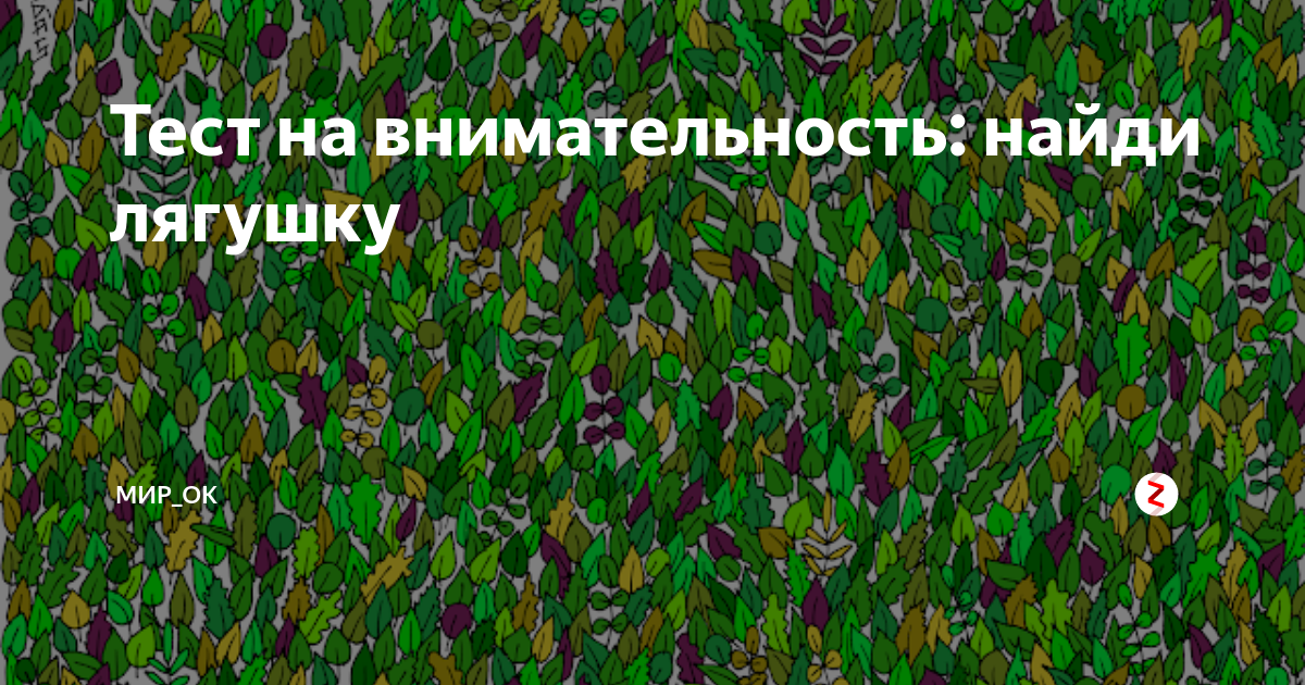 Найди лягушку на картинке среди листков ответ