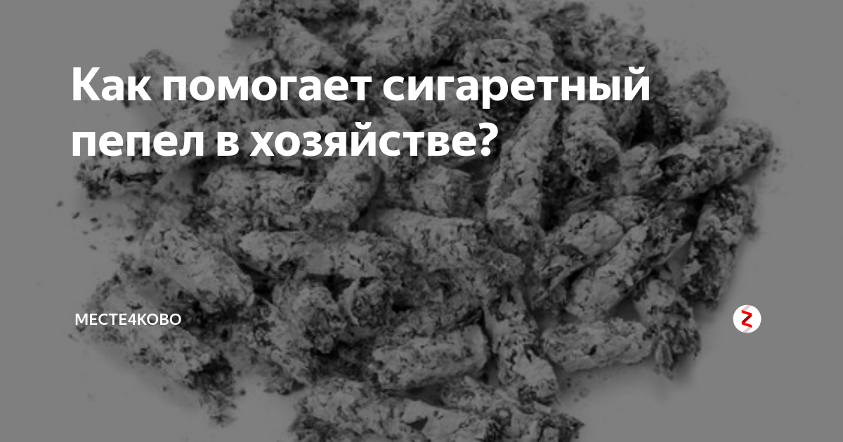 Собака ест пепел от сигарет: причины и значение