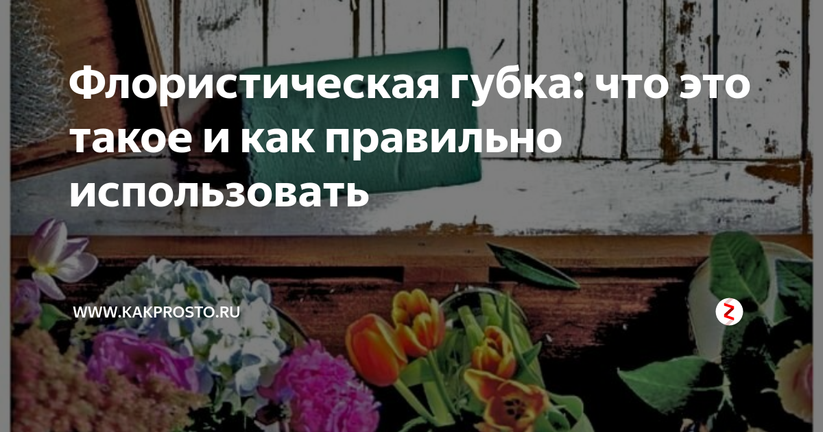 Флористическая губка: что это такое и как правильно использовать | www ...
