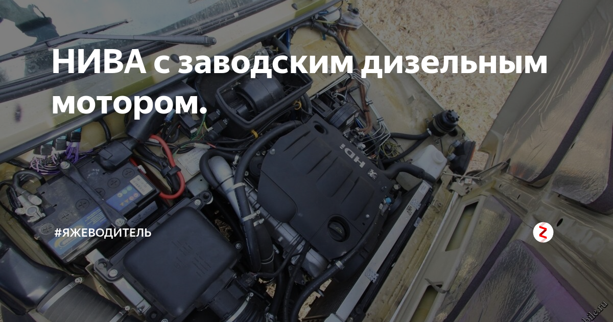 Ао лада экспорт