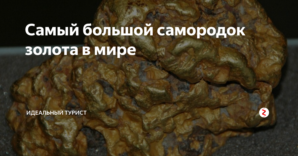 Самый большой самородок золота в мире | Идеальный турист | Дзен