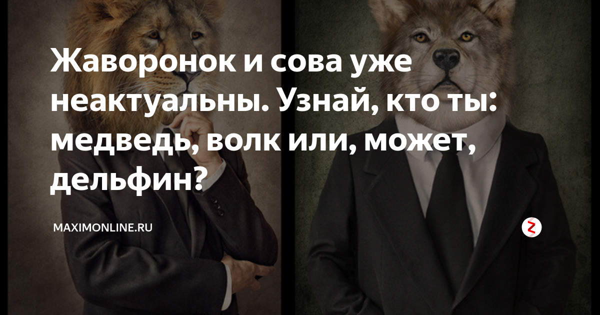 Уже не актуально. Кто умнее волк или медведь. Кто глупее волк или медведь. Ты кто по понятиям волк или медведь. Волк, Дельфин, Лев или медведь: кто ты по биоритму сна.