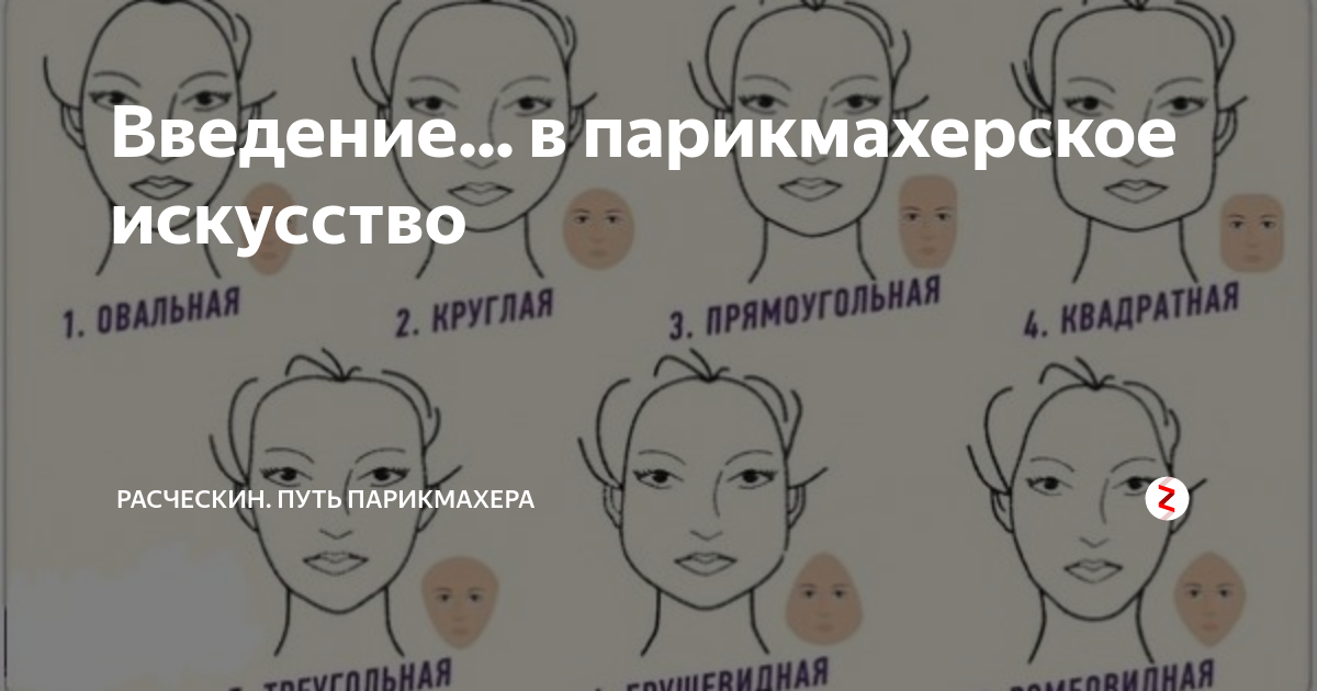 Парикмахерское искусство вывод. Заключение дипломной работы парикмахера. Введение парикмахер. Введение для дипломной работы парикмахера. Введение парикмахер.