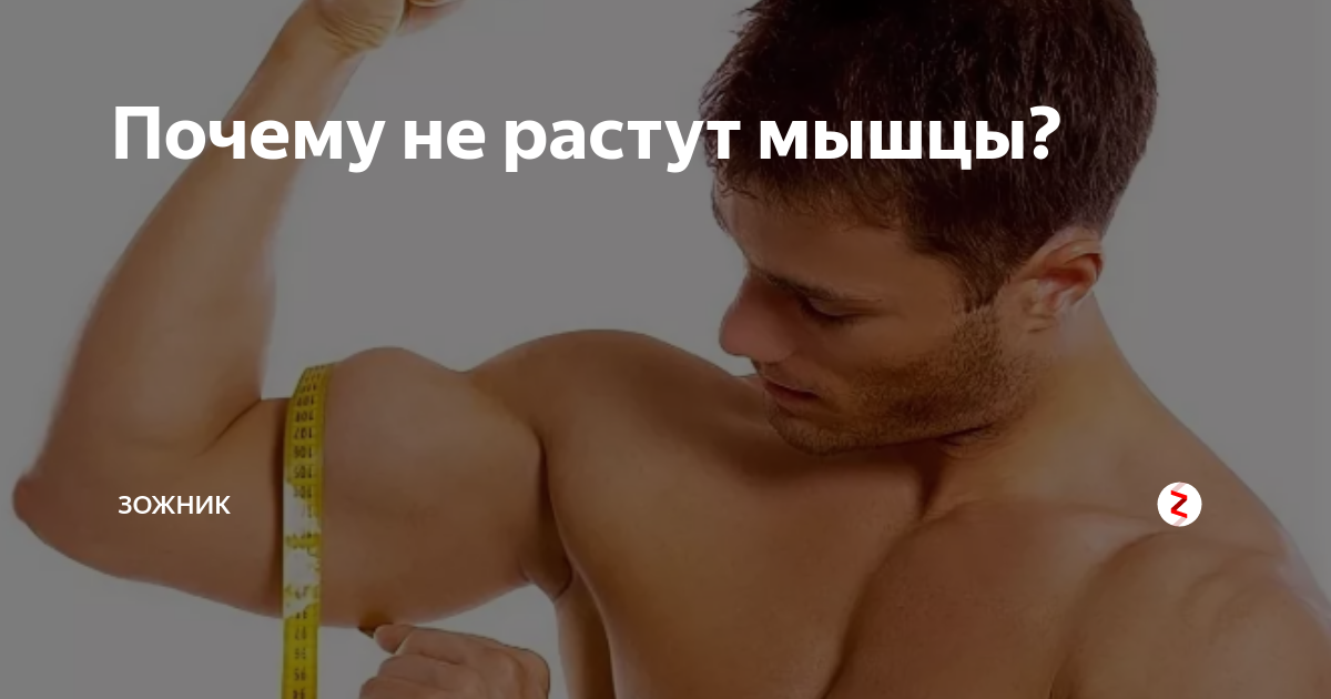 Почему не растут мышцы. Пучки грудных мышц. Мышцы растут сами. Качок рисунок. Почему не растут мышцы.