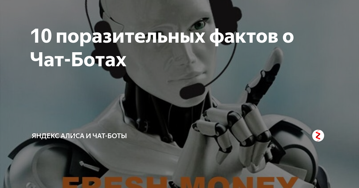 Ты что такой бот. Кто такие боты. Чат с Алисой. Ты бот.