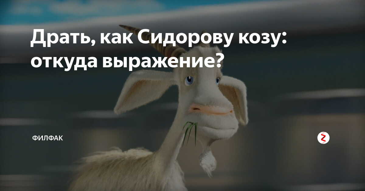 Выражение коза. Сидорова коза. выдрать как сидорову козу. лупить как сидорову козу. выпороть как сидорову козу.