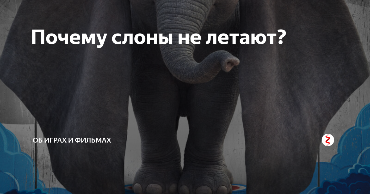 слон прыгает. летающие слоны. слон в небе.