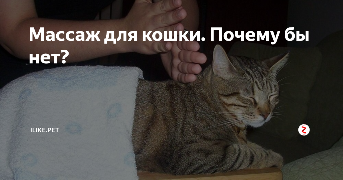 Что такое почему бы и нет