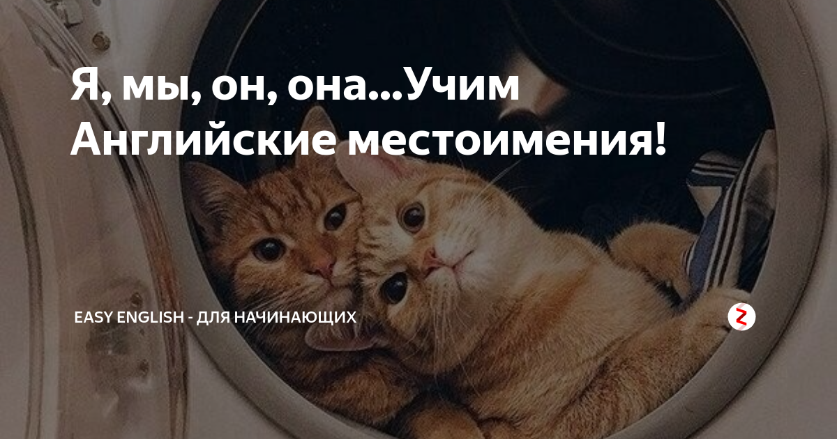 Я, мы, он, она...Учим Английские местоимения! | Easy English - для ...