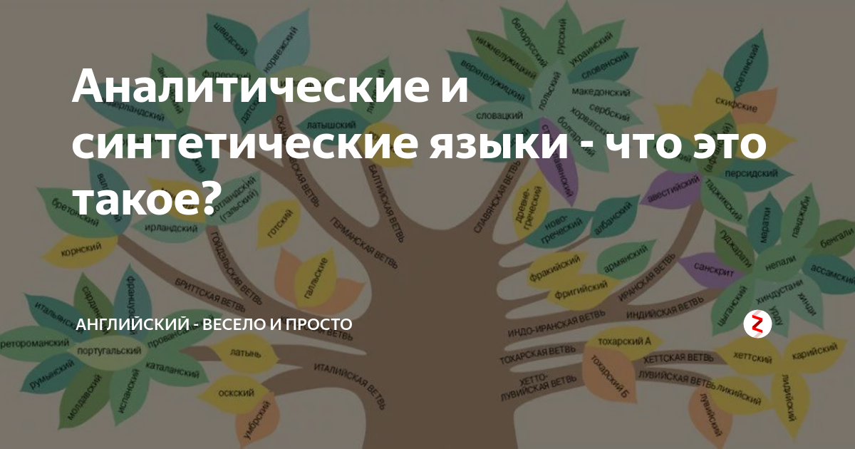 Аналитические и синтетические языки - Quara.ru