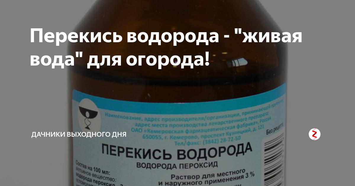 Перекись водорода на огороде. Перекись водорода для рассады. Перекись водорода для помидор и перцев. Перекись водорода для рассады перцев и томатов. Можно пить воду с перекисью водорода