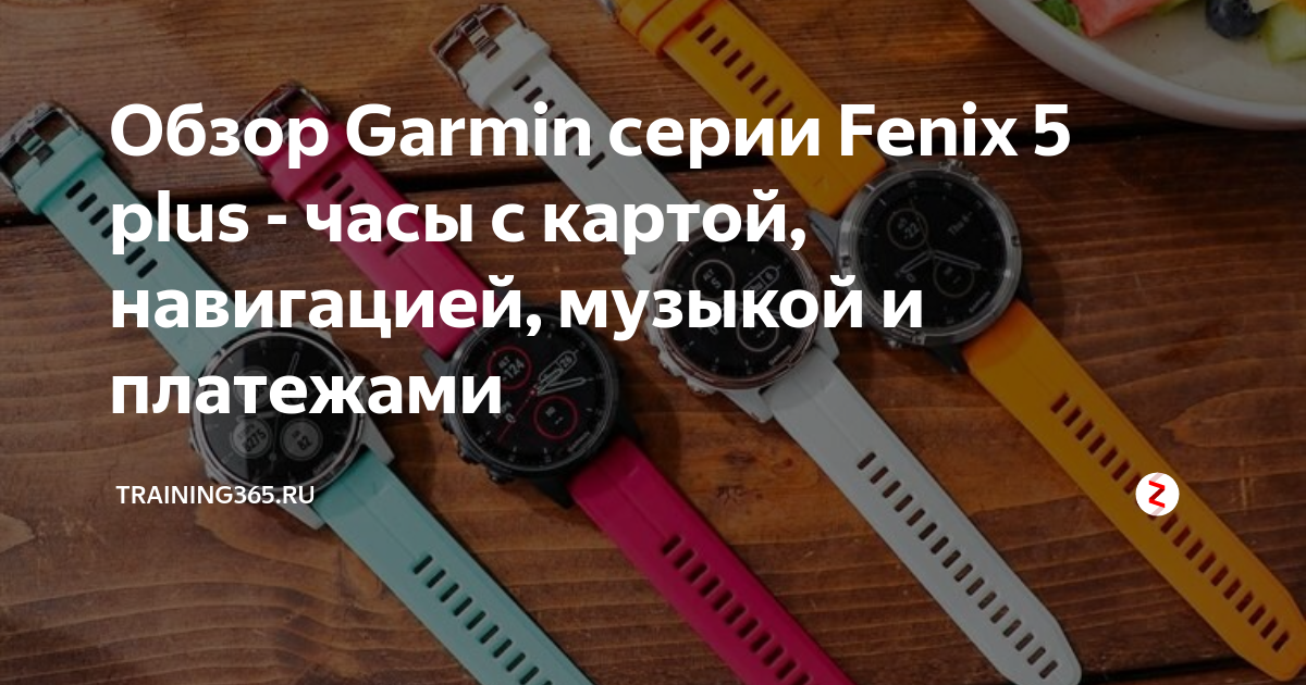 Garmin Fenix 5 plus Training365.ru