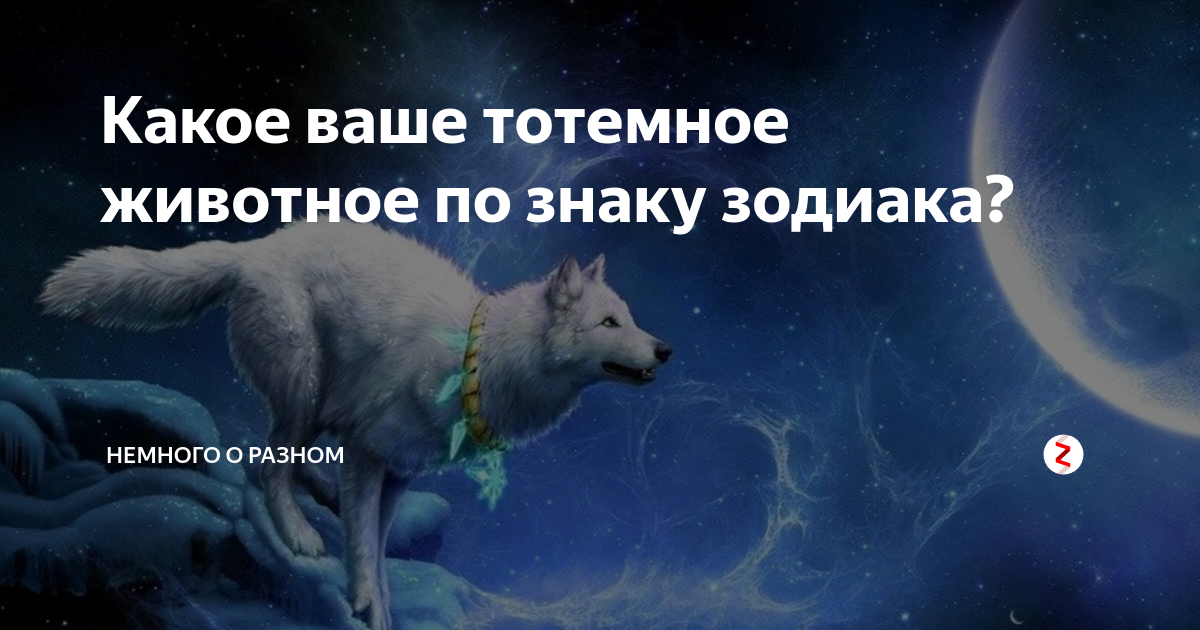 Тотемное животное девы