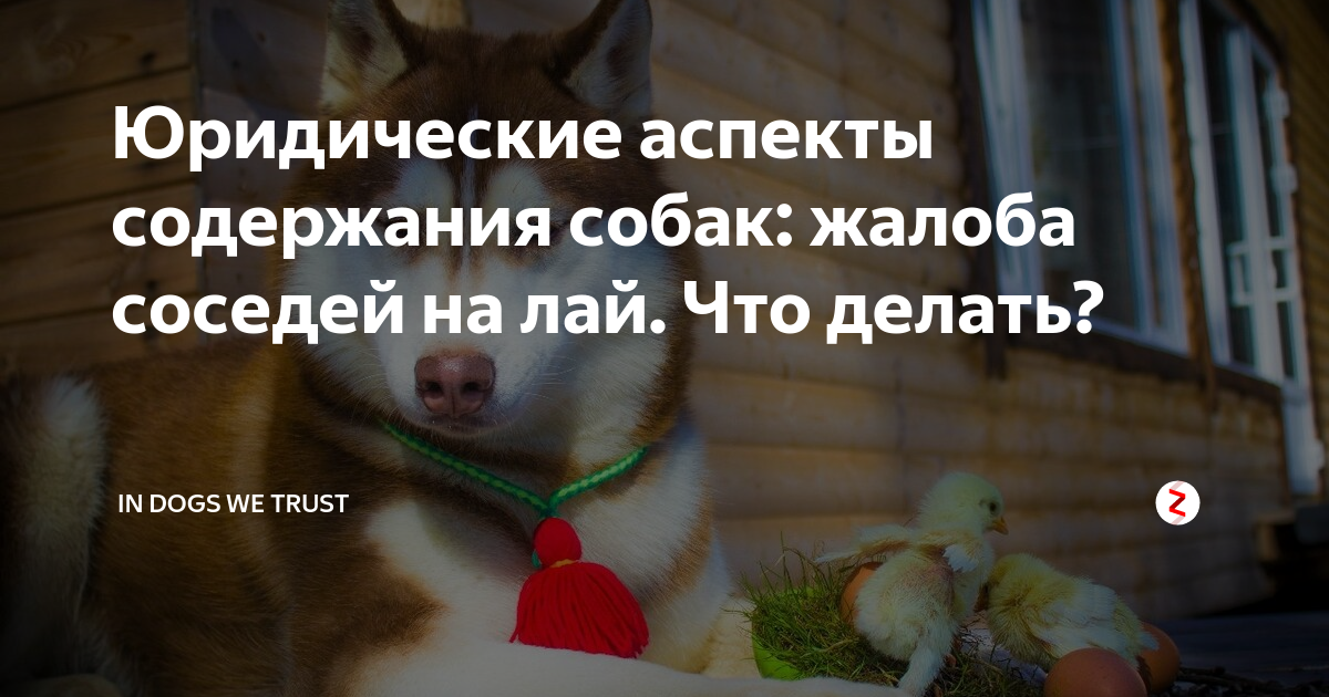 что делать если у соседей постоянно воет собака. лай соседской собаки. объявление соседям о лающей собаке. жалоба на соседи на лающую собаку. сообщение для соседей о лае собаки.