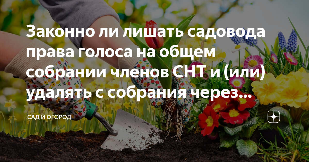 Законно ли лишать садовода права голоса на общем собрании членов СНТ и ...