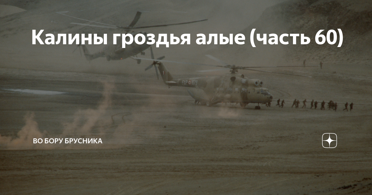 Калины гроздья алые рассказ