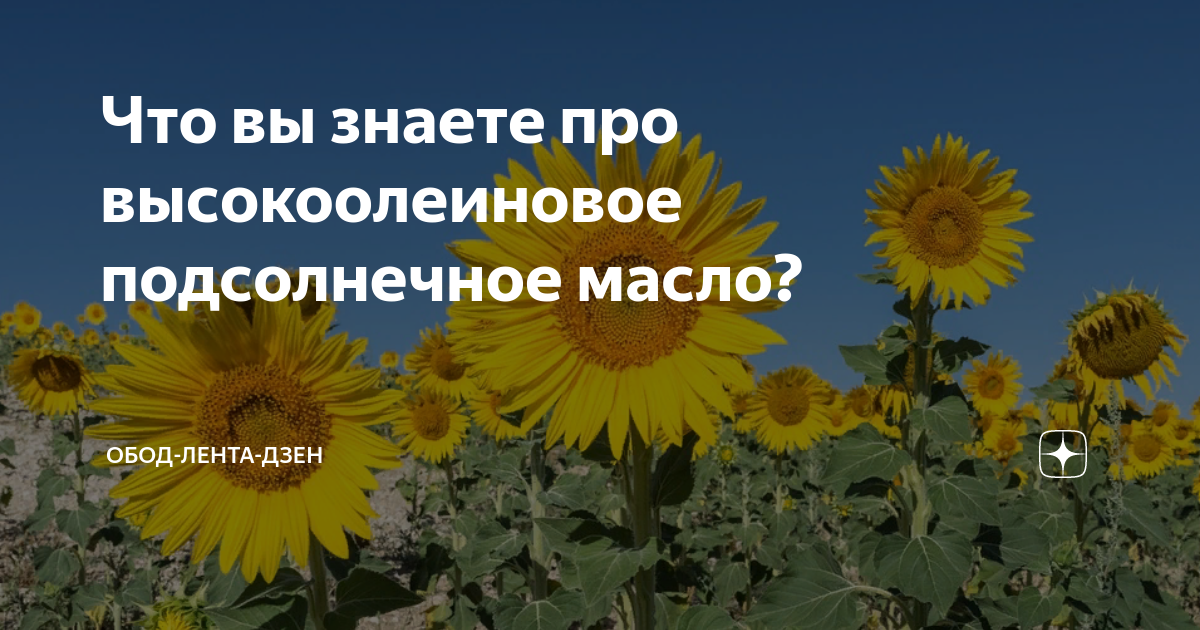Что вы знаете про высокоолеиновое подсолнечное масло? | ОБОД-ЛЕНТА-ДЗЕН ...