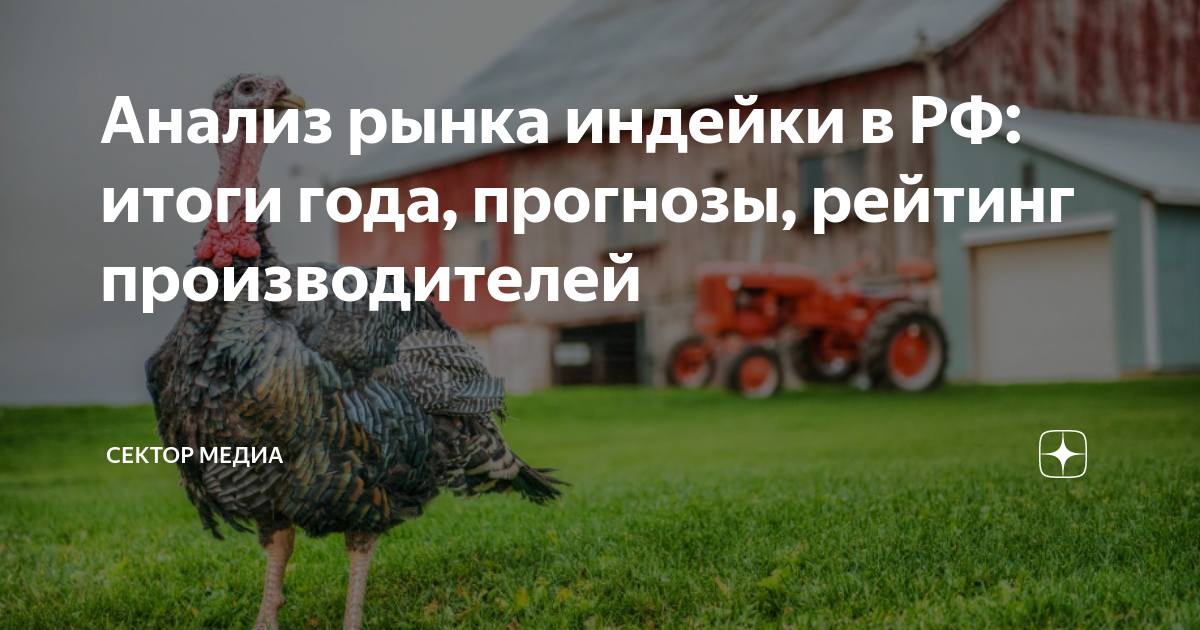 Анализ рынка индейки в РФ: итоги года, прогнозы, рейтинг производителей ...