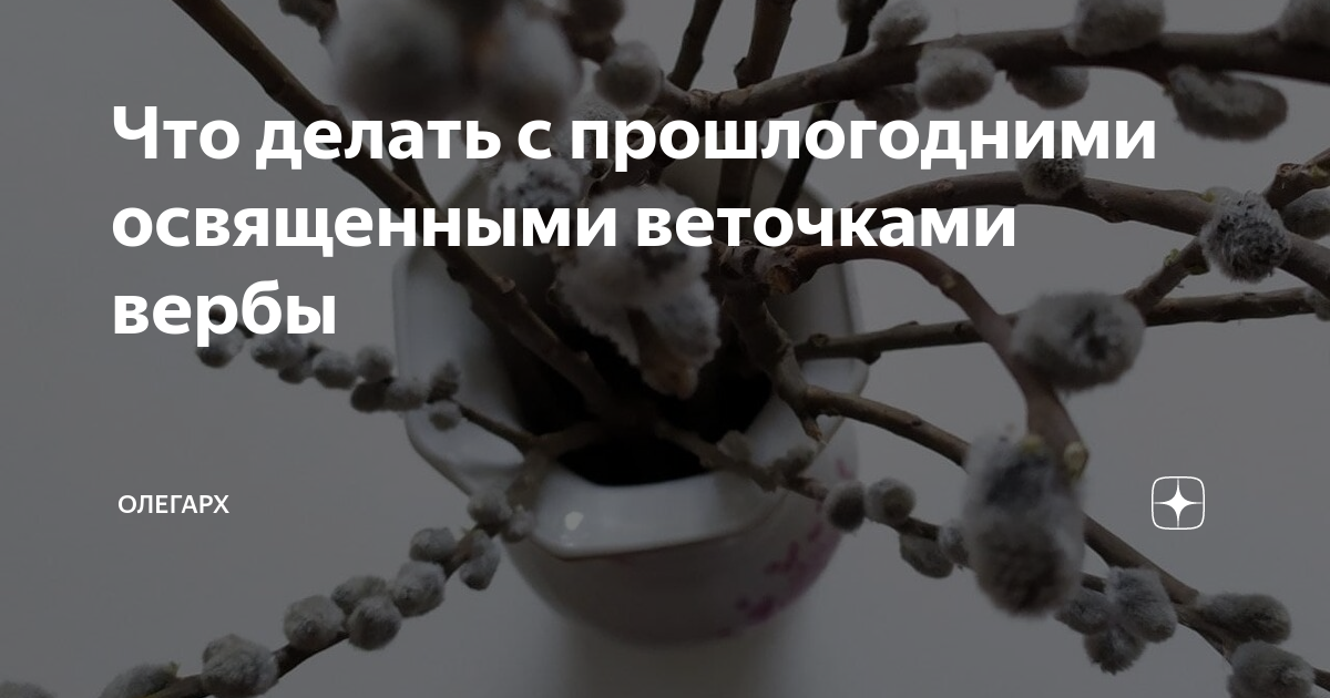 Куда девать старую вербу после вербного воскресенья. Прошлогодние вербы выбрасывать. Что делать с прошлогодней вербой. Что делать с прошлогодними ветками вербы освященной. Куда выбросить вербные ветки