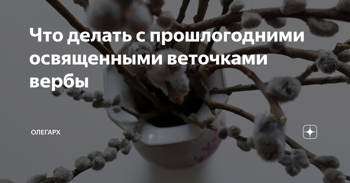 Что делать с прошлогодними веточками вербы. Что делать с прошлогодней вербой. Что делать с прошлогодними ветками вербы освященной. Куда выбросить вербные ветки. Что делать с прошлогодней вербой освященной.