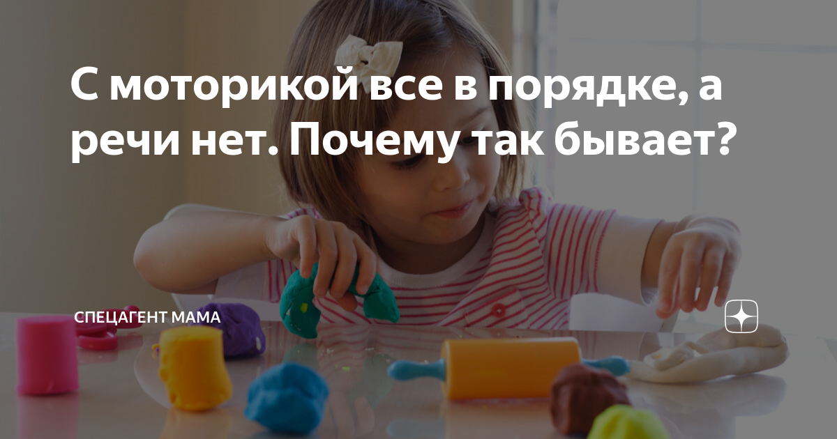 Моторная сфера это